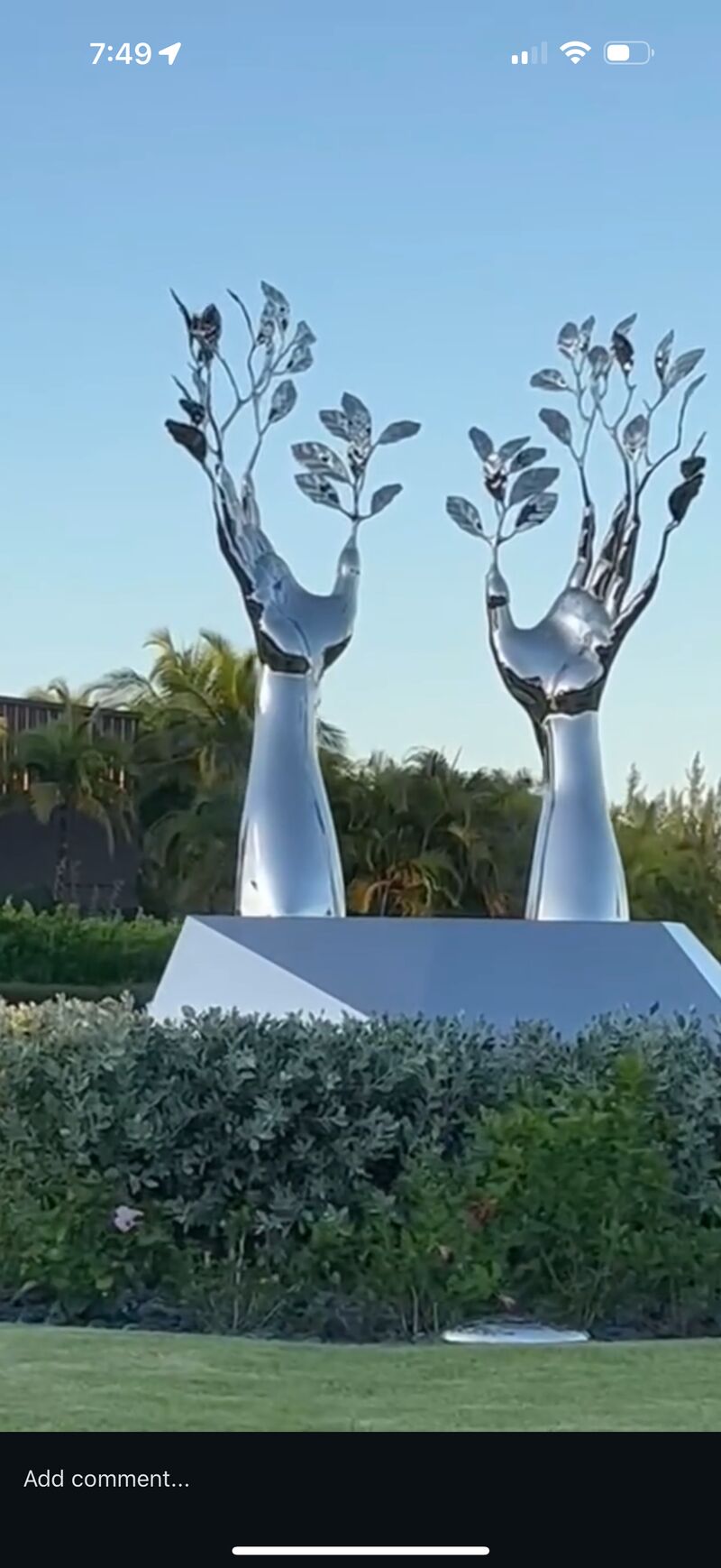 Daphne - a Land Art by Suki Mehr