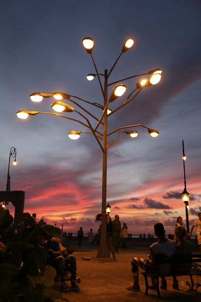 Tree of light - A Urban Art Artwork by Rafael Villares