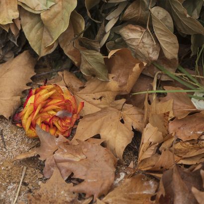 LIEU COMMUN - a Photographic Art Artwork by Eve KOEPPEL