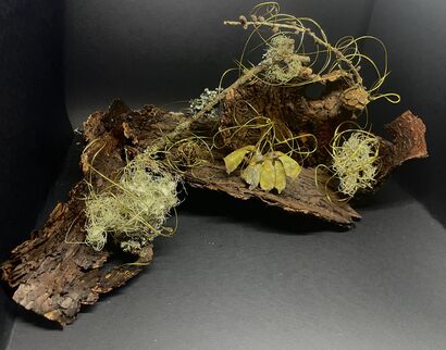 Ti proteggerò - a Sculpture & Installation Artowrk by LUCIA ELENA FOJADELLI