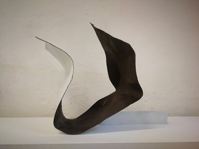 Le Pieghe dell\'Anima (fold of the soul) - a Sculpture & Installation Artowrk by barbara crimella
