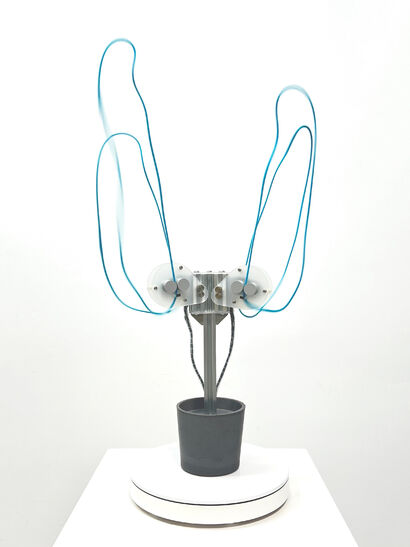 Lasso Plant X - A Sculpture & Installation Artwork by Chih Chiu
