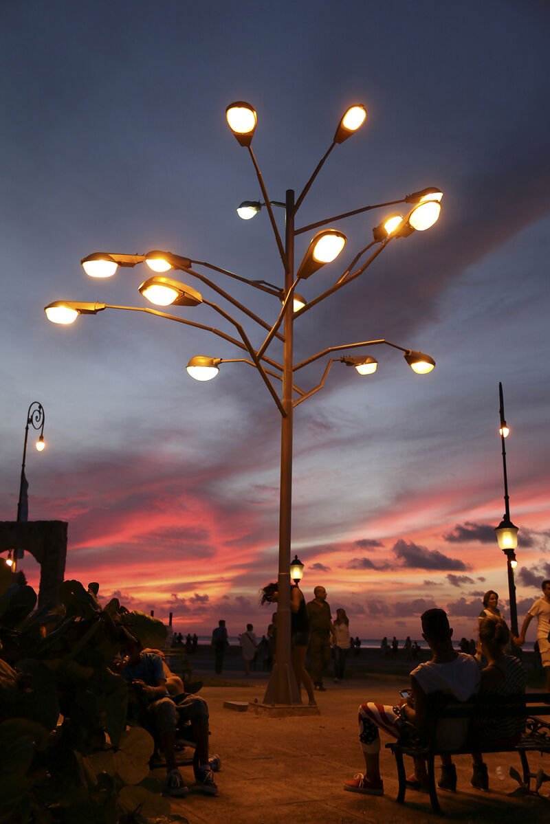 Tree of light - a Urban Art by Rafael Villares