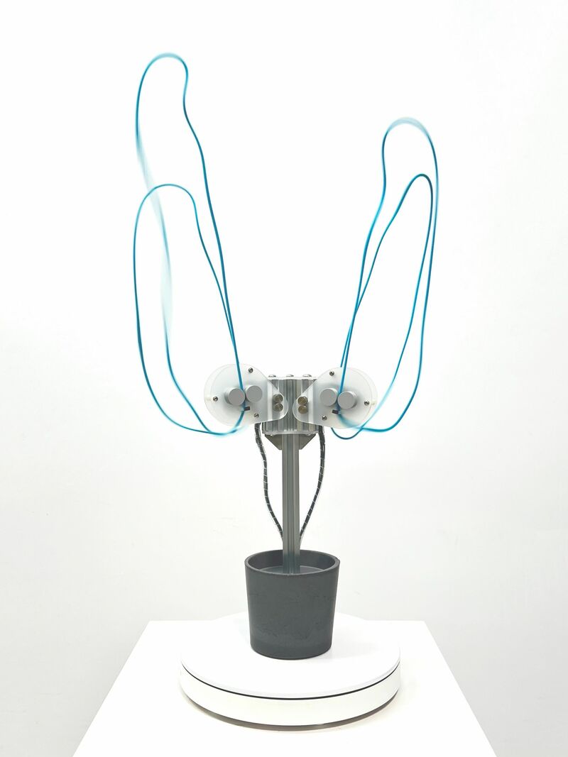 Lasso Plant X - a Sculpture & Installation by Chih Chiu