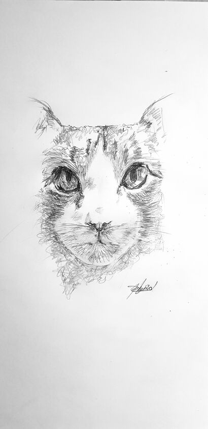 The cat - a Paint Artowrk by Riccardo Leri