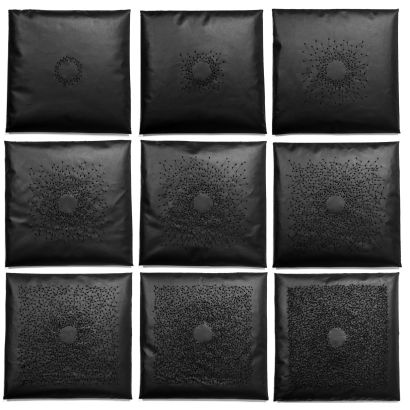 Expansion - a Sculpture & Installation Artwork by Renate Motycka