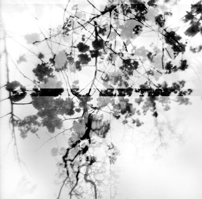 Nathalie - a Photographic Art Artowrk by Justine Rosenzweig