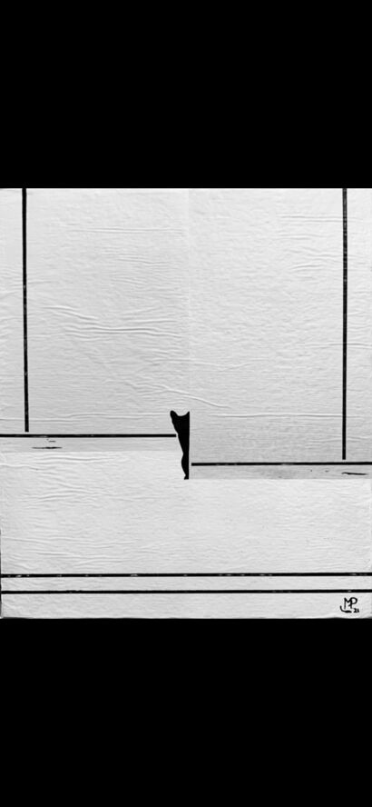 Avevo un gatto nero - A Paint Artwork by MP