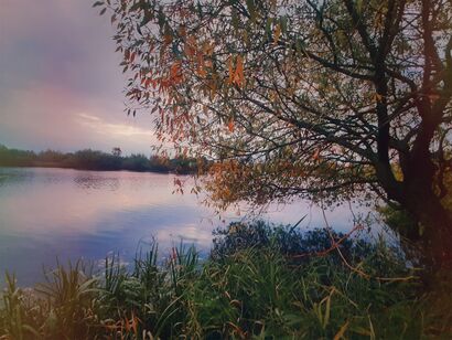 Suburb Autumn  - a Photographic Art Artowrk by Yulia Drik