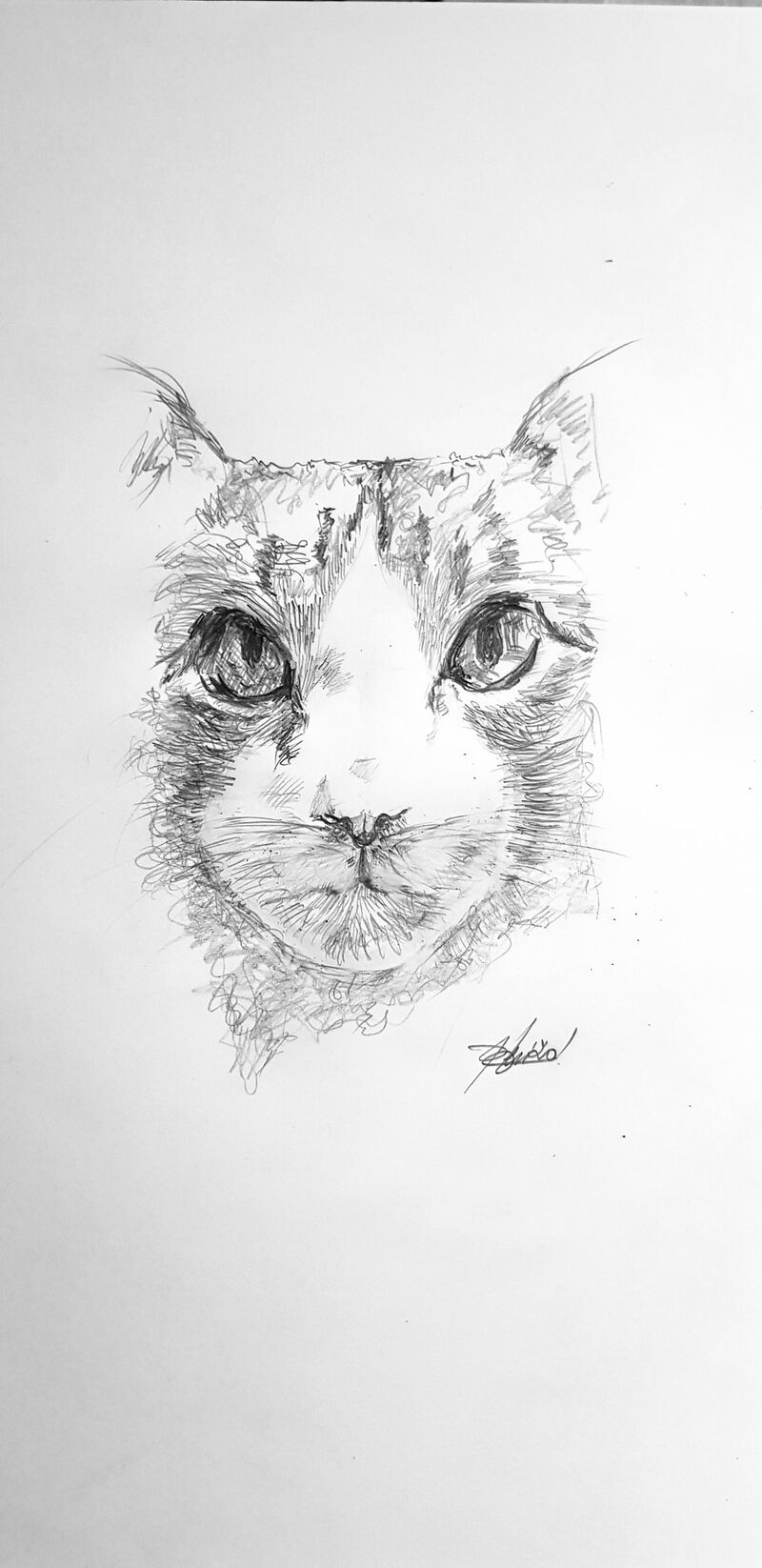 The cat - a Paint by Riccardo Leri