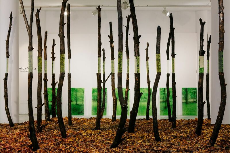 In the Dream of Trees - a Sculpture & Installation by Mario Valdés
