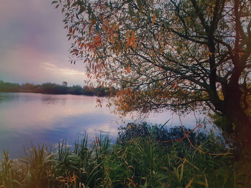 Suburb Autumn  - a Photographic Art by Yulia Drik