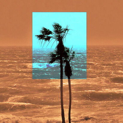 The Palmtree - a Photographic Art Artowrk by peter euser