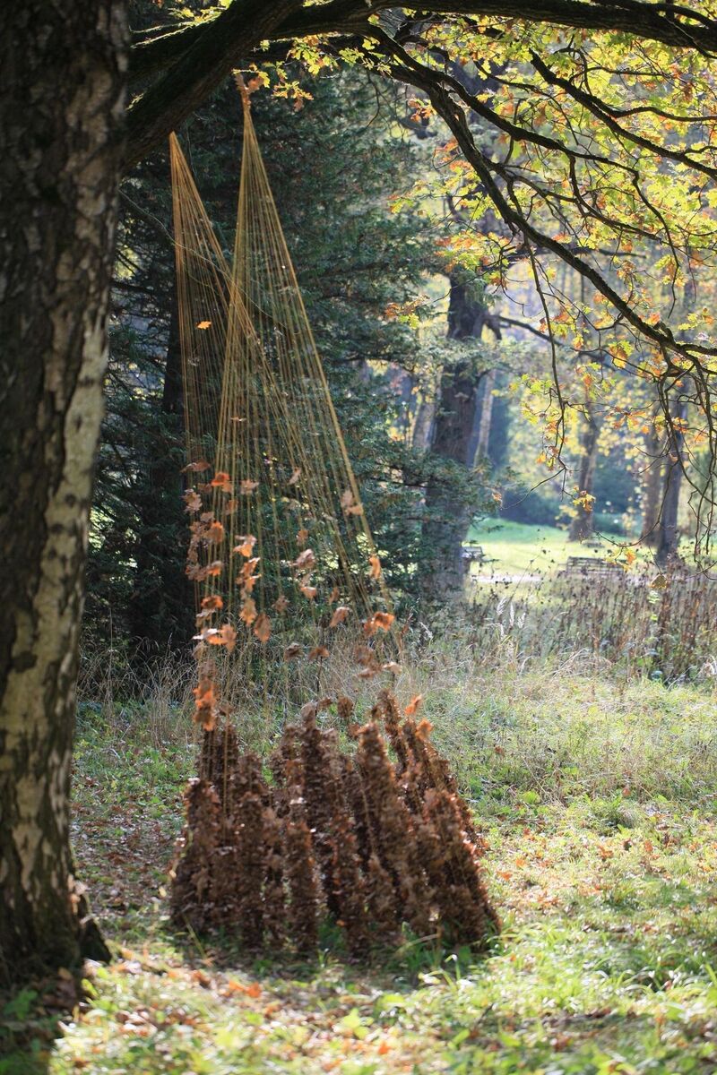 Sun Traces - a Land Art by Natalia Zizko