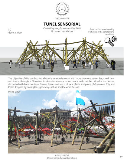 Túnel de los sentidos - A Urban Art Artwork by José Rodrigo Chávez Puaque