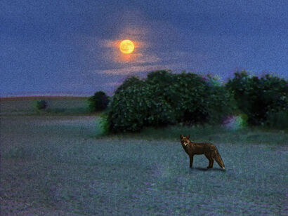 Silent Night - a Photographic Art Artowrk by egronista