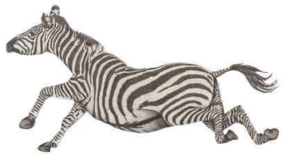 Zebra - A Paint Artwork by Kaffka Raoul