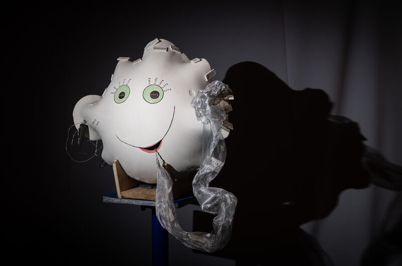 Meet my head (self-portrait) - a Sculpture & Installation by Svinjceza