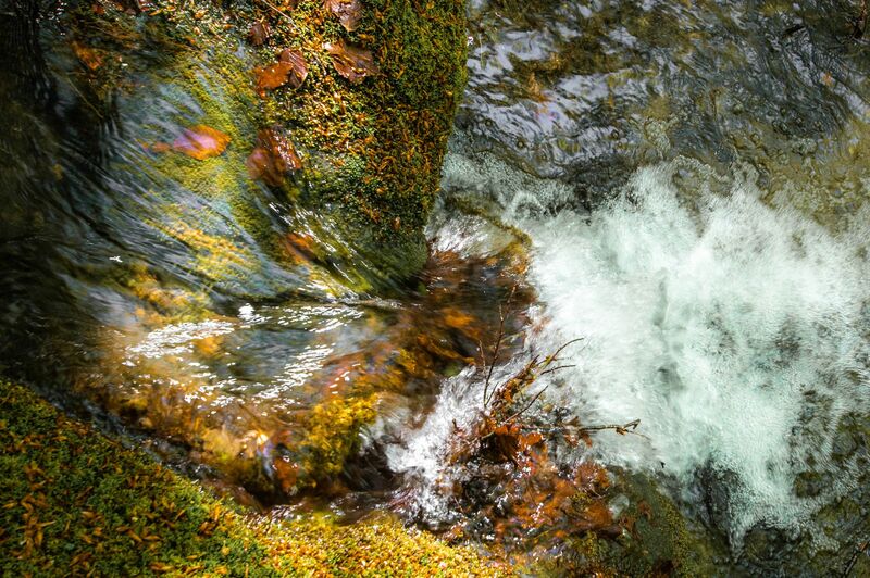 The fairy of water - a Photographic Art by sandra rossi