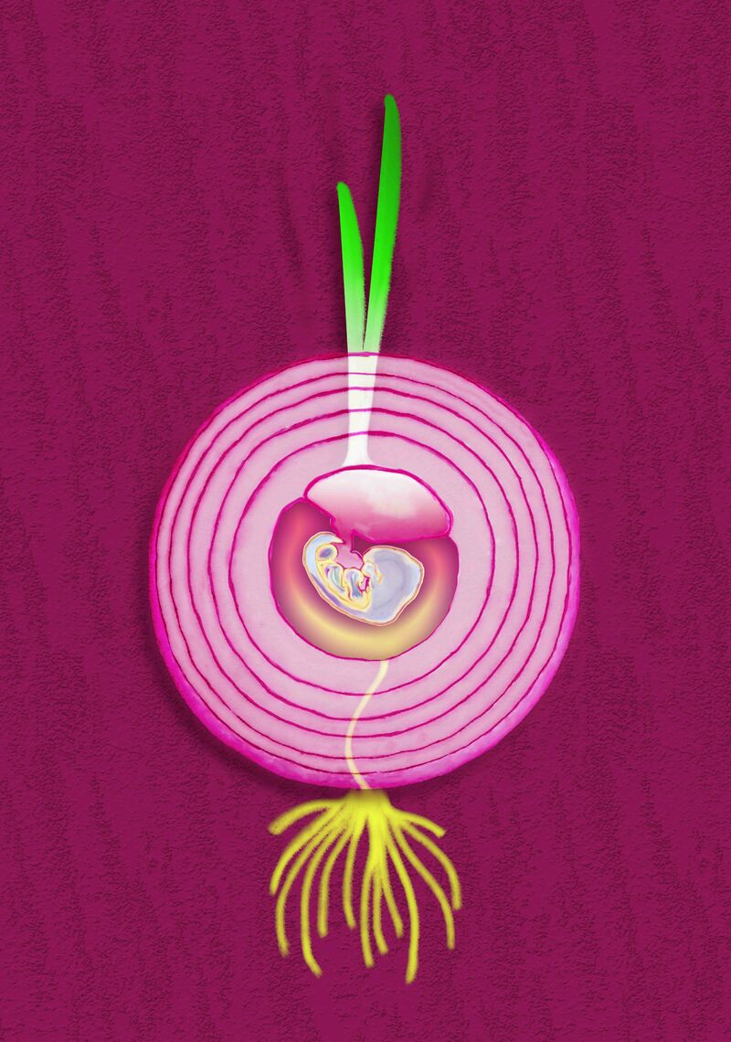 Bulbo - a Digital Art by Serena Presutto