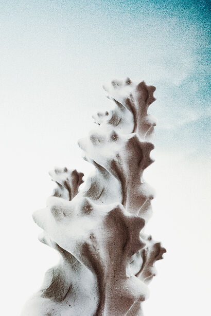 Flower Tower - a Photographic Art Artowrk by Dora Lionstone
