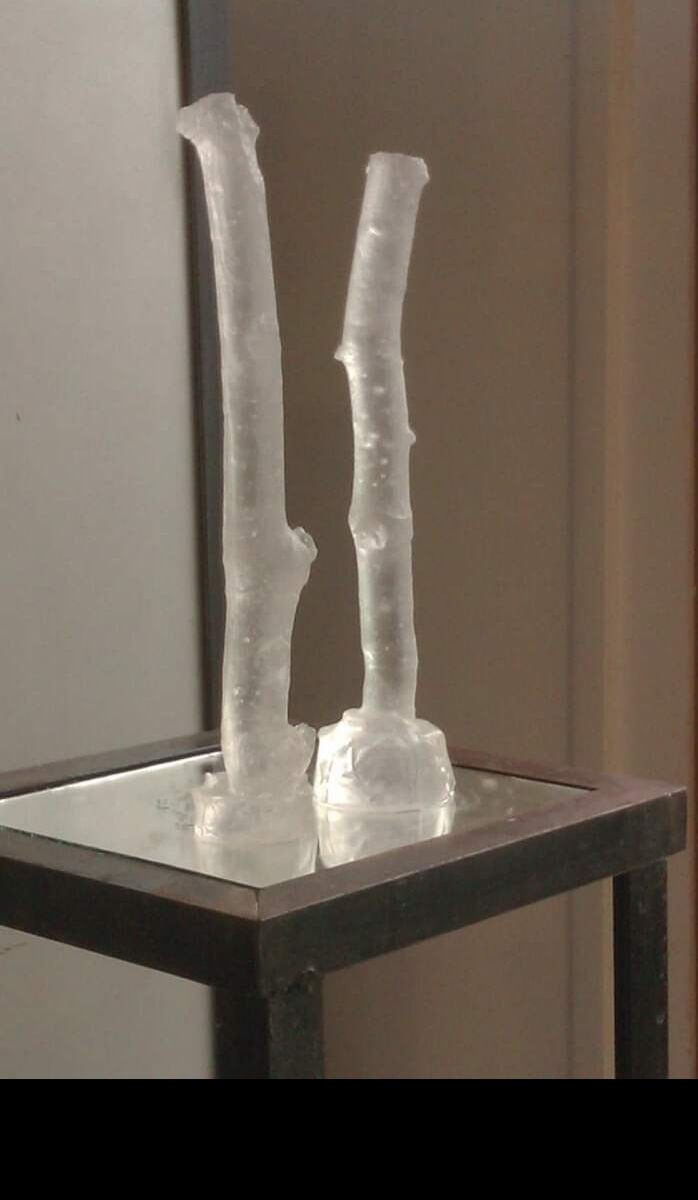deux branches - a Sculpture & Installation by ANGELA  STEIN (IDeAS)