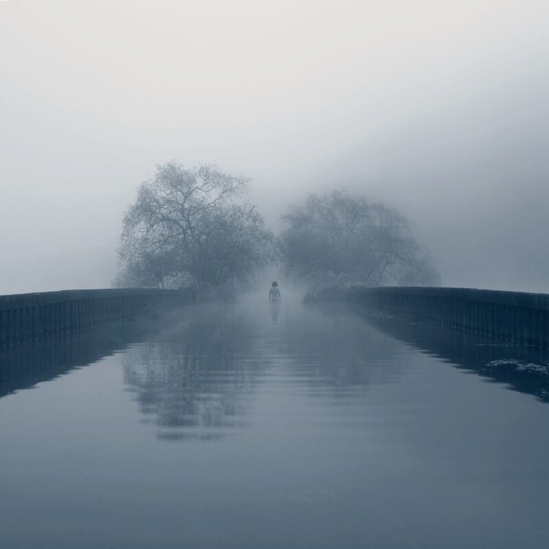 Like the wind - a Photographic Art by Kevin