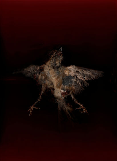 Morgue 3 (obitorio)  - A Photographic Art Artwork by Dante Velloni