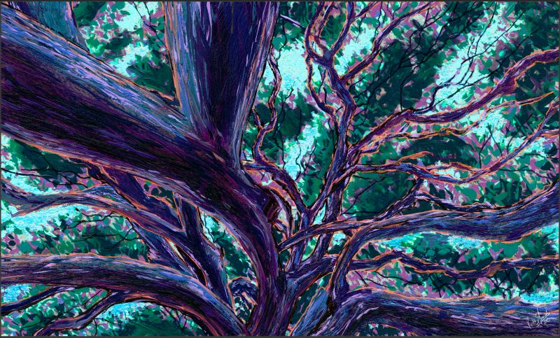 Lines of Life - a Digital Art by artbykurtisedwards