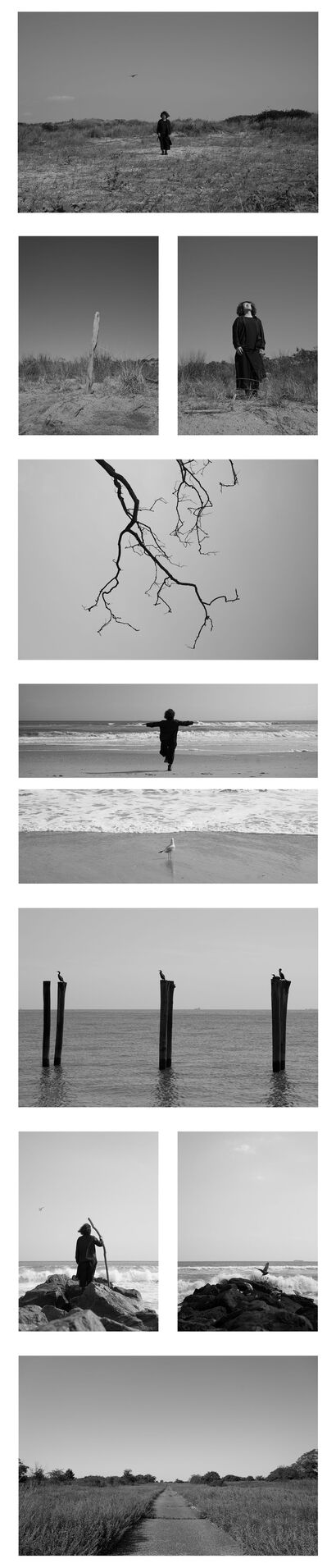 Song of a Lonely Bird - a Photographic Art Artowrk by Jiaqi Liu