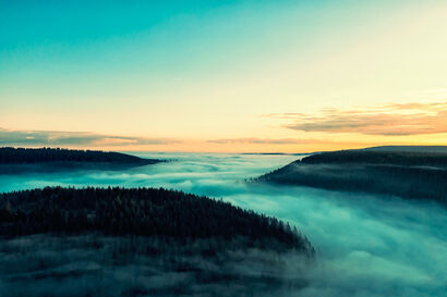 the fog I - A Photographic Art Artwork by Koehler Christoph