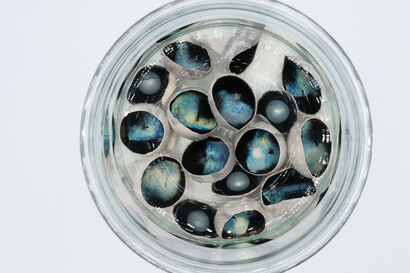Hazardous by-products - a Photographic Art Artowrk by veronica cheann
