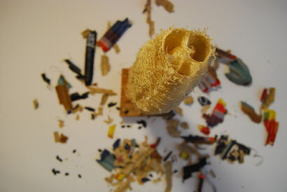 The Journey of Loofah - A Sculpture & Installation Artwork by CYANN DOU