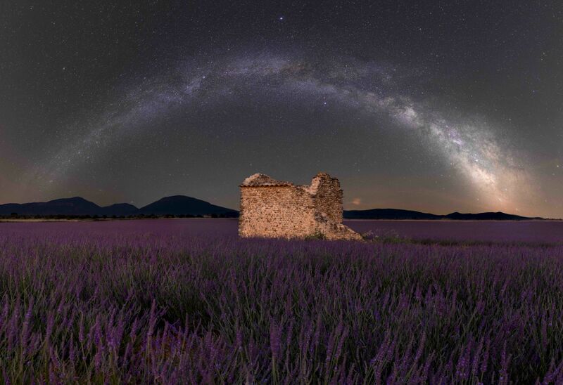 A Galaxy of Lavender - a Photographic Art by Carlotta Roda
