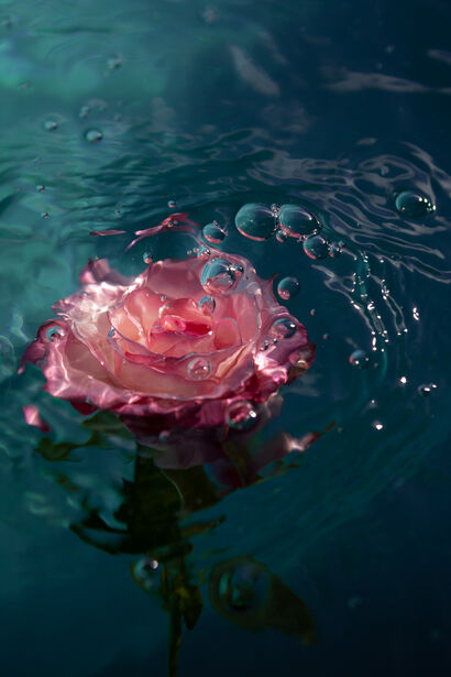 Reflection - A Photographic Art Artwork by Katherine Grace