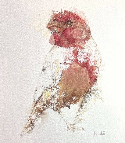 Scarlet Silence: Feathers in Gentle Harmony - a Paint Artowrk by Boutin