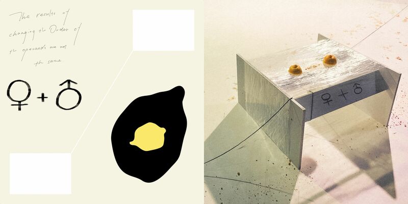 Given lemon, Find ♀+♂ - a Sculpture & Installation by JUN
