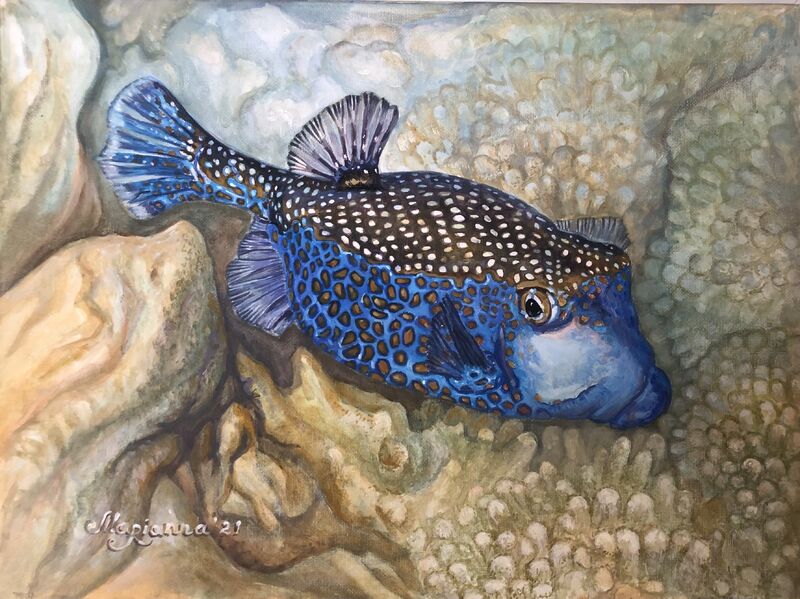 fish box - a Paint by MariAnna