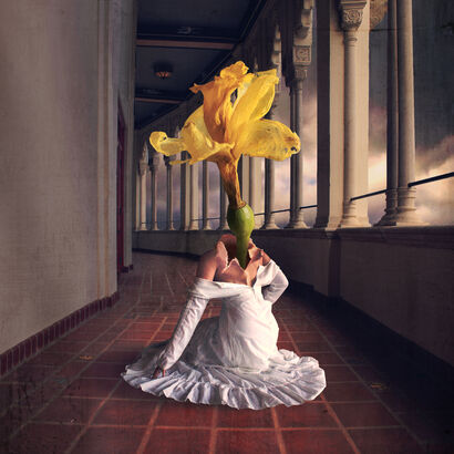 Eclosion - A Photographic Art Artwork by Fiona Hsu