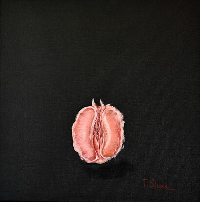 Grapefruit on a black background - A Paint Artwork by Tanya Shark