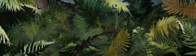 Super Natural Fern - a Digital Graphics and Cartoon by Pedall Alissa