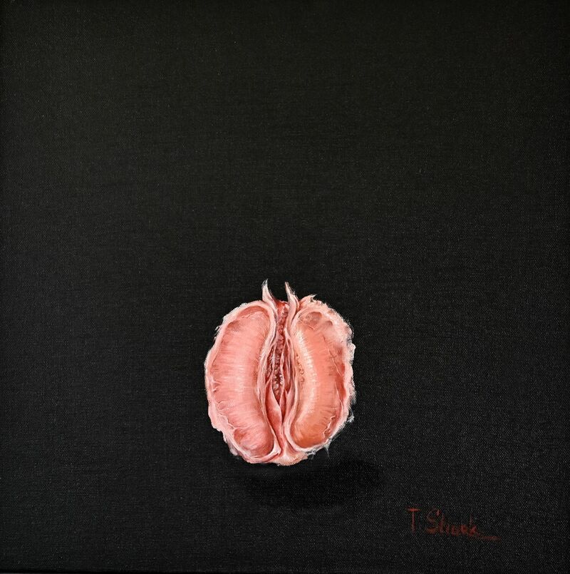 Grapefruit on a black background - a Paint by Tanya Shark