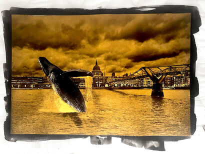 The London Whale - a Photographic Art Artowrk by Paal Anand