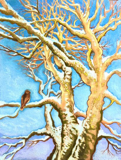 Hawk resting on an old tree, wintertime, Einsiedeln - A Paint Artwork by Maria Bibiana