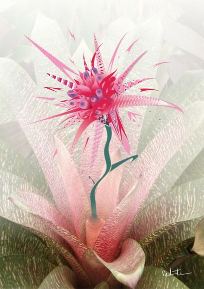 Orchid - a Digital Art Artowrk by Alexandre Valentim