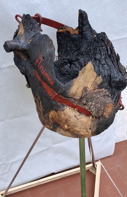 ANIMUS  - a Sculpture & Installation Artowrk by Albe-Rato 