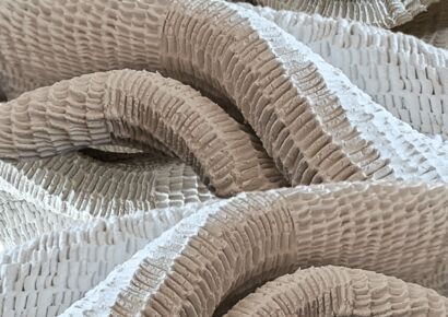 organic clay laces - a Sculpture & Installation Artowrk by elle wolff