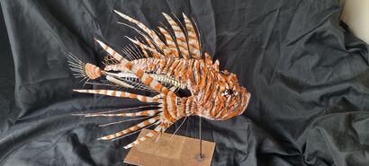 Rascasse volante ( lionfish) - a Sculpture & Installation Artowrk by Christelle Dufay