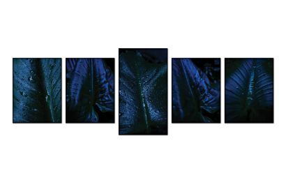 OXYGEN Notturno - istallazione - (30x40 foto laterali - 30x53  foto centrale cm.) tot. 150x53 cm. - a Photographic Art Artwork by Sara Franci Visual Artist