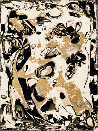 Fractured Focus - a Photographic Art Artowrk by Murae Van Reede Van Oudtshoorn